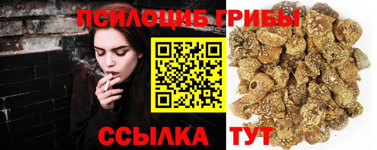 Псилоцибиновые грибы ЛСД  Вход с VPN  сколько стоит  Галлюциногенные грибы мухоморы  Малоярославец 